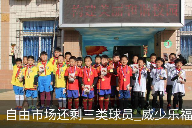自由市场还剩三类球员 威少乐福领衔失业大军？