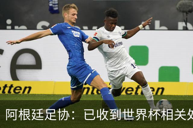 阿根廷足协：已收到世界杯相关处罚 将向FIFA委员会上诉